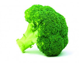 Broccoli